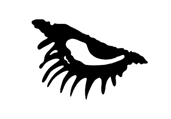 seen clothing